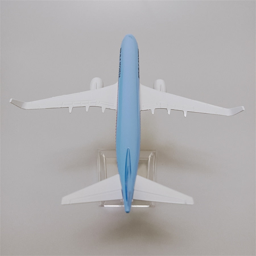 16cm/6.3" Republik Indonesia B737 (NoGear)